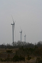 IMG_1377 (Resize)
